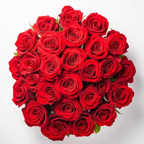 GlobalRose Fresh Cut Red Roses - 25 Flowers Fresh Bouquet for Valentine’s Day, Wedding, Birthday, Anniversary, Bridal Shower, or Home Decor - Flowers Delivery Gift - 25 Red Roses