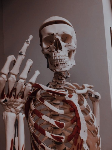 specialist medical appt