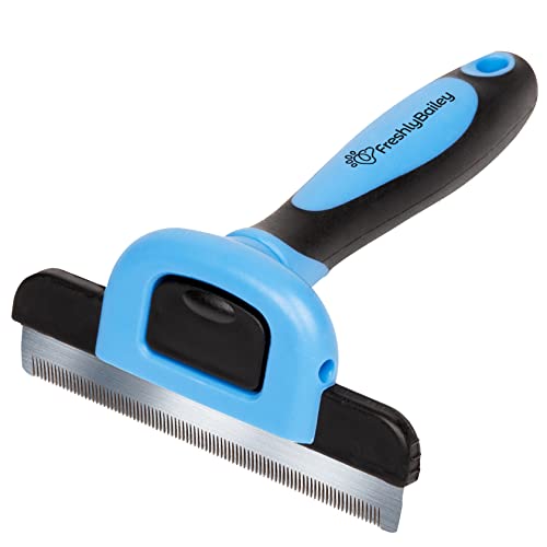 Freshly Bailey Deshedding Brush For Short Haired Dogs & Cats - Cat and Dog Brush For Shedding Short Hair - Highly Effective Deshedder Grooming Comb