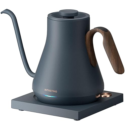 INTASTING Electric Gooseneck Kettle 0.9L/30oz with Ultra-Fine Spout, Precise Flow Control, 304 Stainless Steel, Auto Shut-Off & Boil-Dry Protection, Matte Navy - Navy
