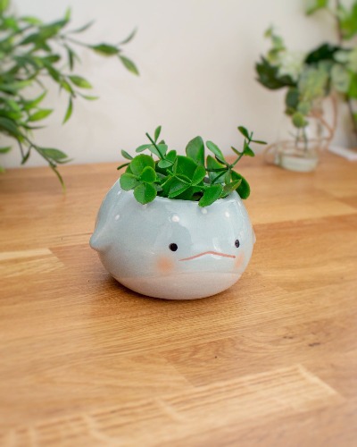 Whale Planter