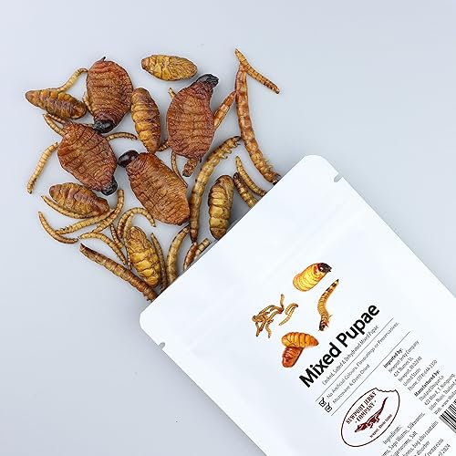 Newport Jerky Company Edible Insects (Mixed Pupae) - Mixed Pupae
