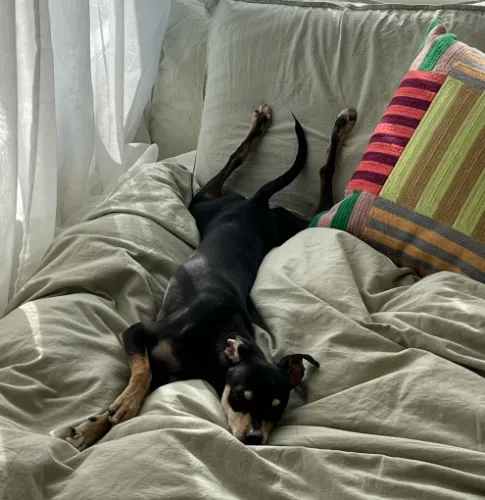 Give Twink a Bone 🦴 