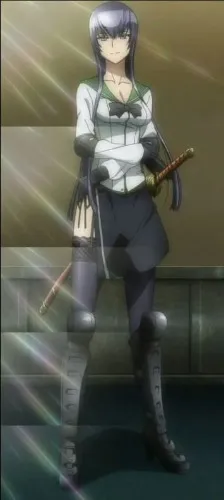 High school Busujima Saeko Cosplay