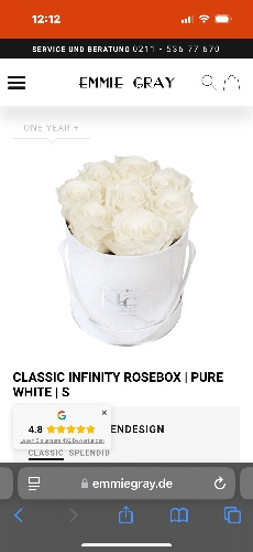 Infinity roses 