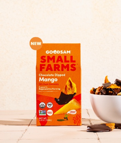 Chocolate Dipped Mango - 3.5 oz - 1 Box