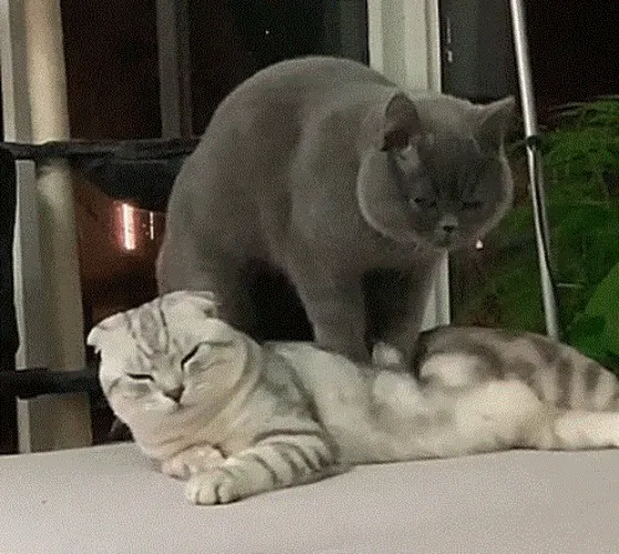 Massage 50 minutes 💆🏻‍♀️ 