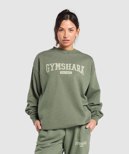 Collegiate Lifestyle Oversized Sweatshirt