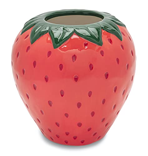 ban.do Vintage inspirierte dekorative Keramikvase, einzigartige Dekoration für Zuhause/Küche/Büro, Erdbeerfelder - Red