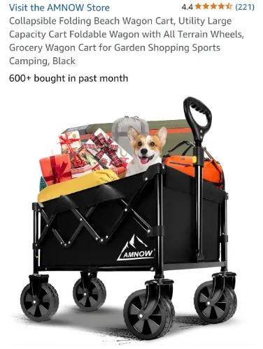 Folding Wagon