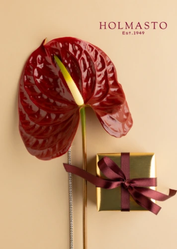 Lahjakortti Holmastolle