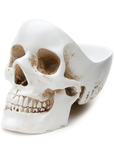 Skull Organizer