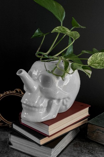 Cranium Plant Pot | One Size / White / 100% Ceramic