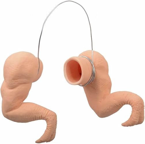 Enrichoice 1 Pairs Chicken Toys T-Rex Chicken arms to Put on Chicken - 1T-Rex