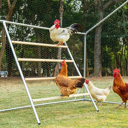 PETSFIT Square Chicken Roosting Perch, Perfect for Backyard Poultry, Chicken Perch for Coop, Easy to Assemble&Clean, Farm Chicken Toys (55" L x 40" W) - Metal perch - 55"L x 40"W