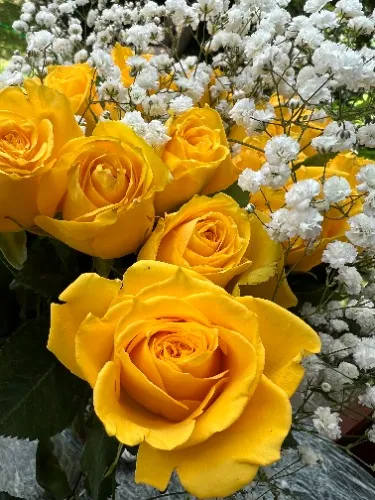 Flowers