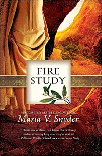 Fire Study (Study, Book 3) - Paperback