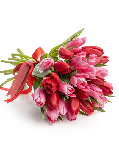 Tulips bouquet