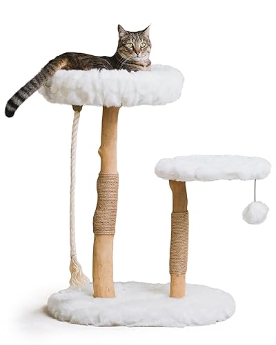 MAU Modern Cat Tree Tower, Natural Branch Cat Condo, Luxury Wood Cat Tower, Cat Scratching Tree, Cat Condo, Cat Lover Gift, Luxury Cat, Cat Gifts by Mau Lifestyle - Cotton White