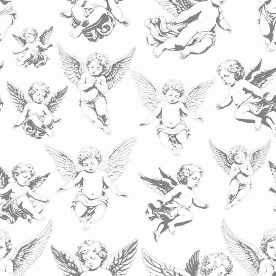 angel card 𓆩♡𓆪