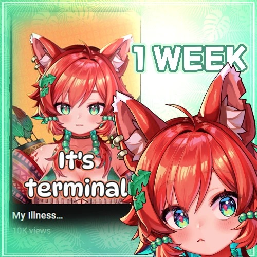 1 WEEK of shorts budget