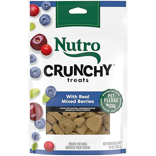 Nutro Crunchy Dog Treats With Real Mixed Berries, 10 oz. Bag - Mixed Berries - 10 Ounce (Pack of 1)