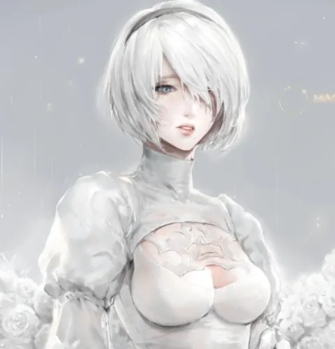 2B white version